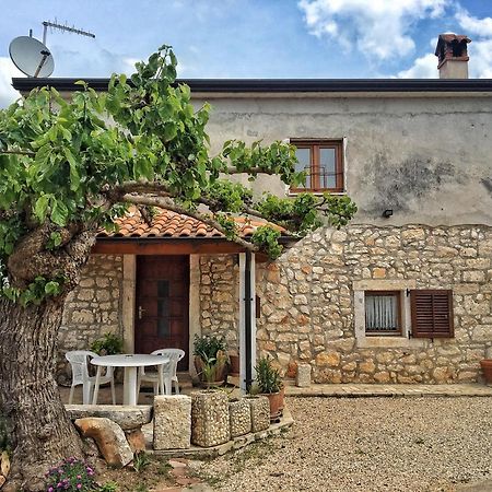 Apartament Kuca Za Odmor Matea Poreč Zewnętrze zdjęcie