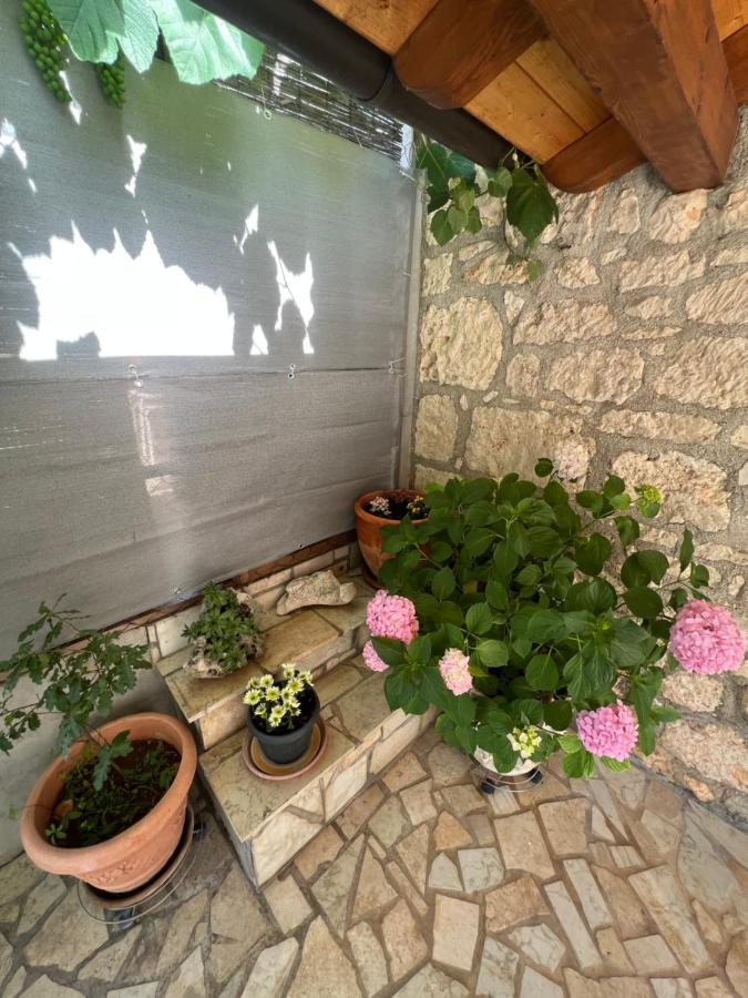 Apartament Kuca Za Odmor Matea Poreč Zewnętrze zdjęcie