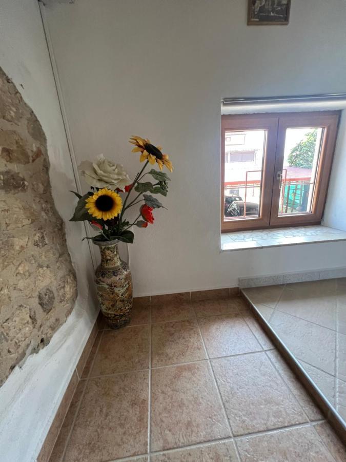 Apartament Kuca Za Odmor Matea Poreč Zewnętrze zdjęcie