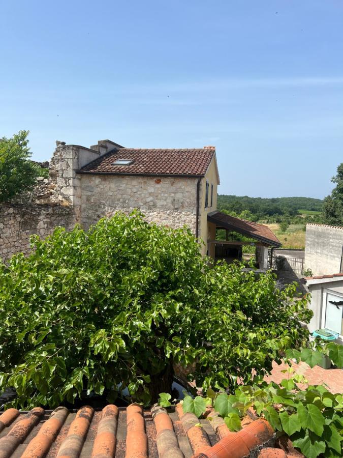 Apartament Kuca Za Odmor Matea Poreč Zewnętrze zdjęcie